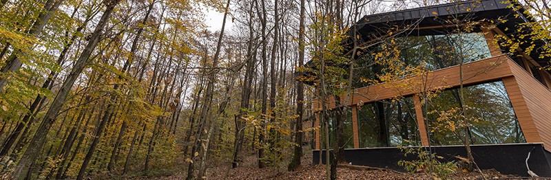 Ahşap yapı tasarım ve uygulama